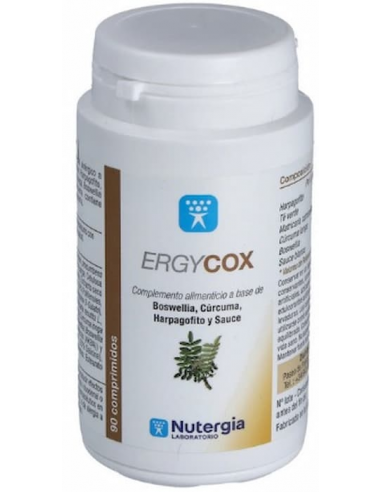 ERGYCOX 90 Comprimidos